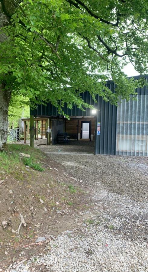 Yurt Glyncoch Isaf Farm Luxury tent