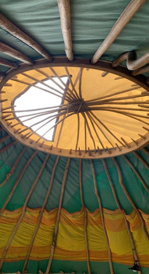 Yurt Glyncoch Isaf Farm *