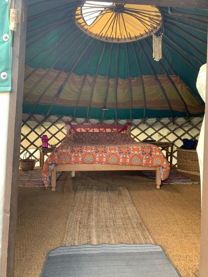 Yurt Glyncoch Isaf Farm