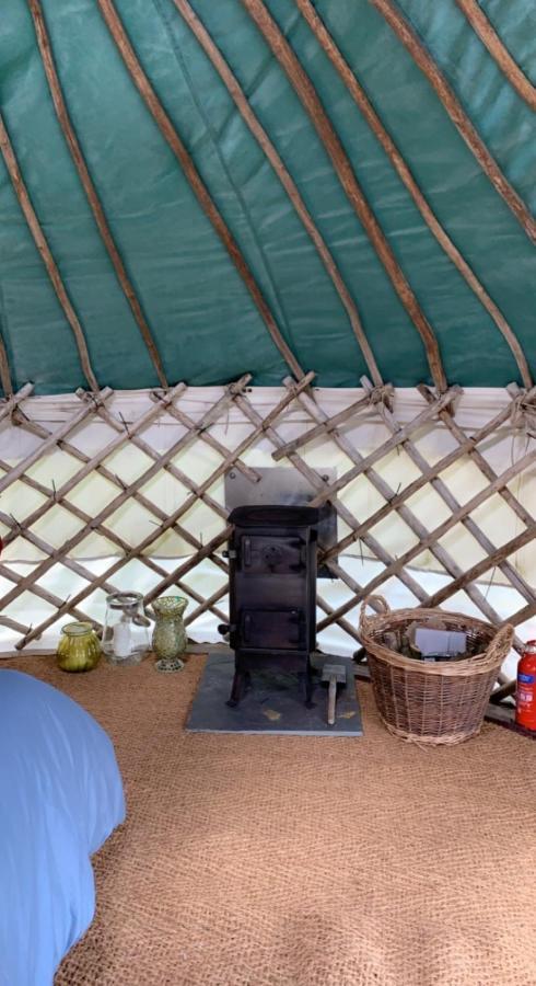 Yurt Glyncoch Isaf Farm Luxury tent *